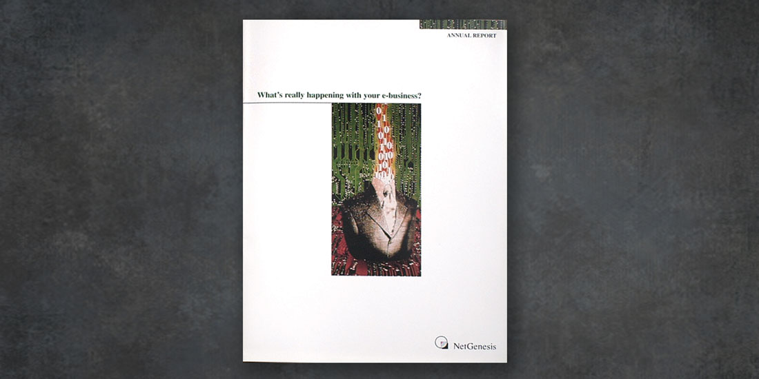 deHaas Creative portfolio: NetGenesis Annual Report